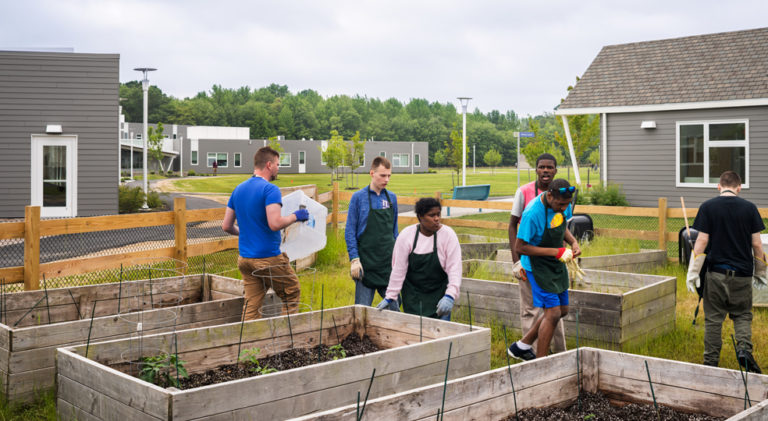 six adults tend a garden in the Welsh Campus