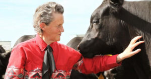 Temple Grandin, a light-skinned woman wearing a bright pink jacket pets a dark brown horse