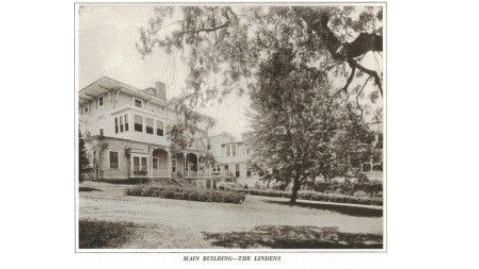 The Lindens building, a large white Victorian styled house