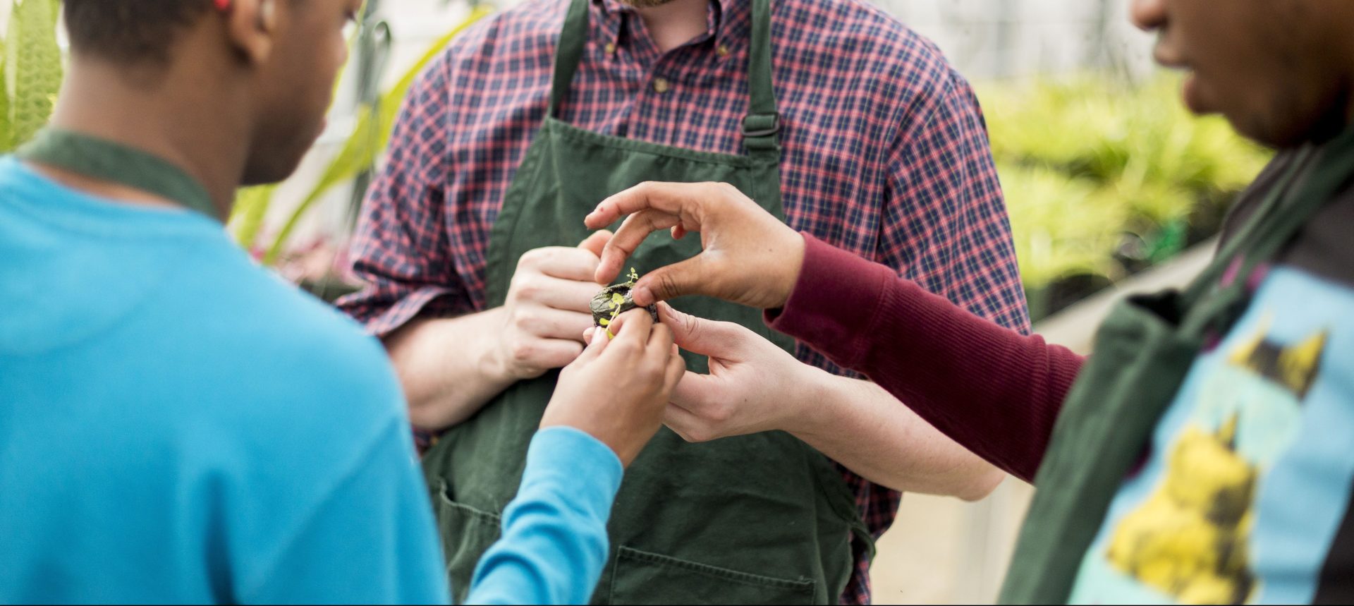 three people, one wearing a blue shirt, one wearing a checkered shirt and green apron and one in a black shirt with a yellow cat on it hold a small gold and green object