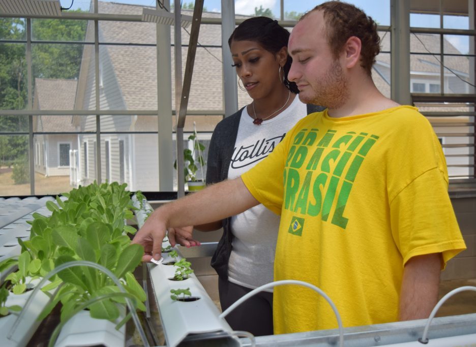 An adult male with a paraprofessional in a greenhouse looking at plants.