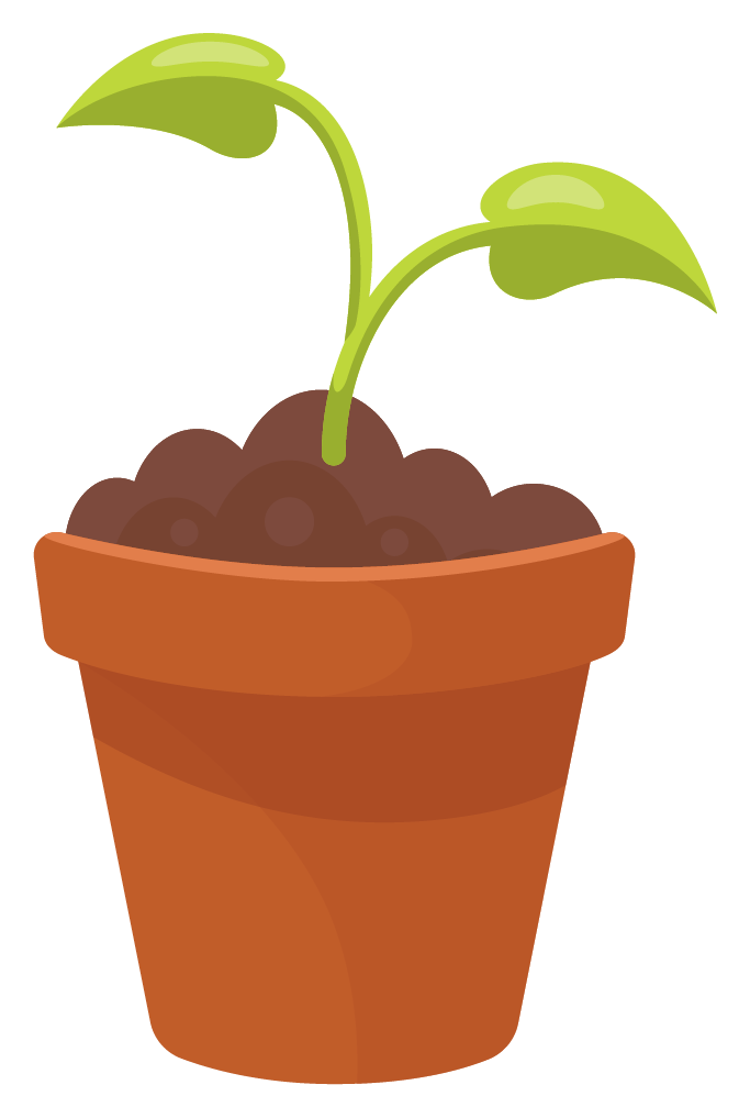 Drawing depicting a tiny seedling plant
