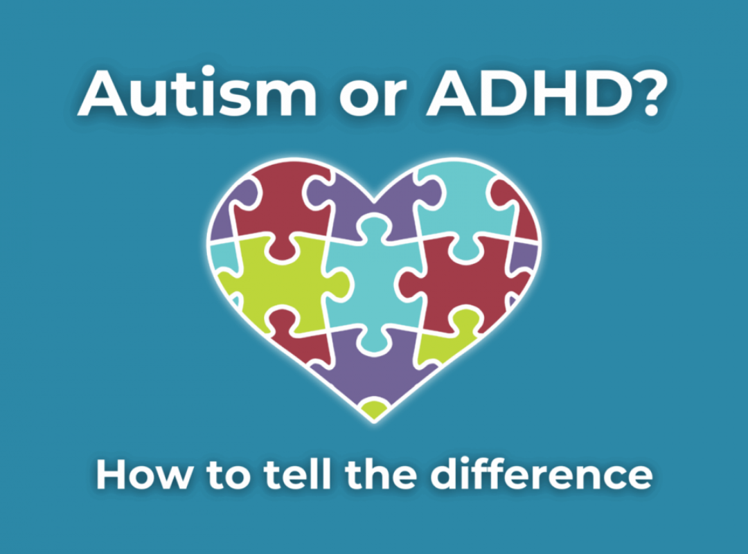 Autism or ADHD (1)