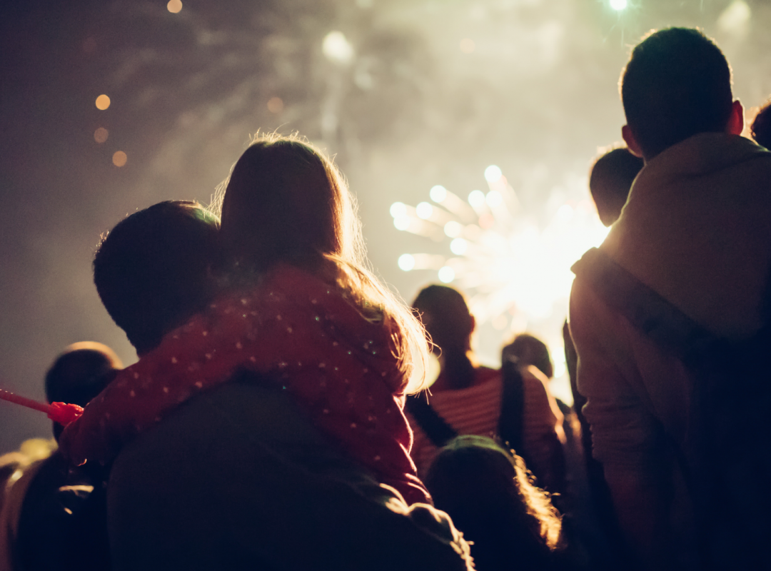 a group of people watching fireworks with their backs to the camera