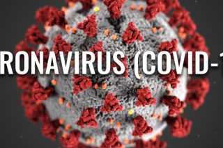 gray and red coronavirus cell with the words "Coronavirus (COVID-19)" in white block font