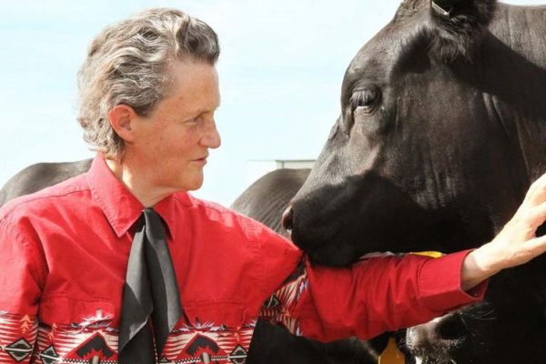 Temple Grandin, a light-skinned woman wearing a bright pink jacket pets a dark brown horse