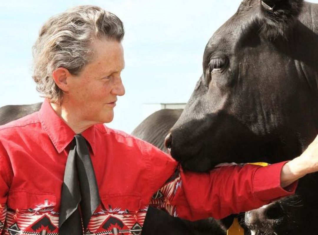 Temple Grandin, a light-skinned woman wearing a bright pink jacket pets a dark brown horse