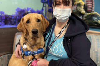 Therapy Dog Joye