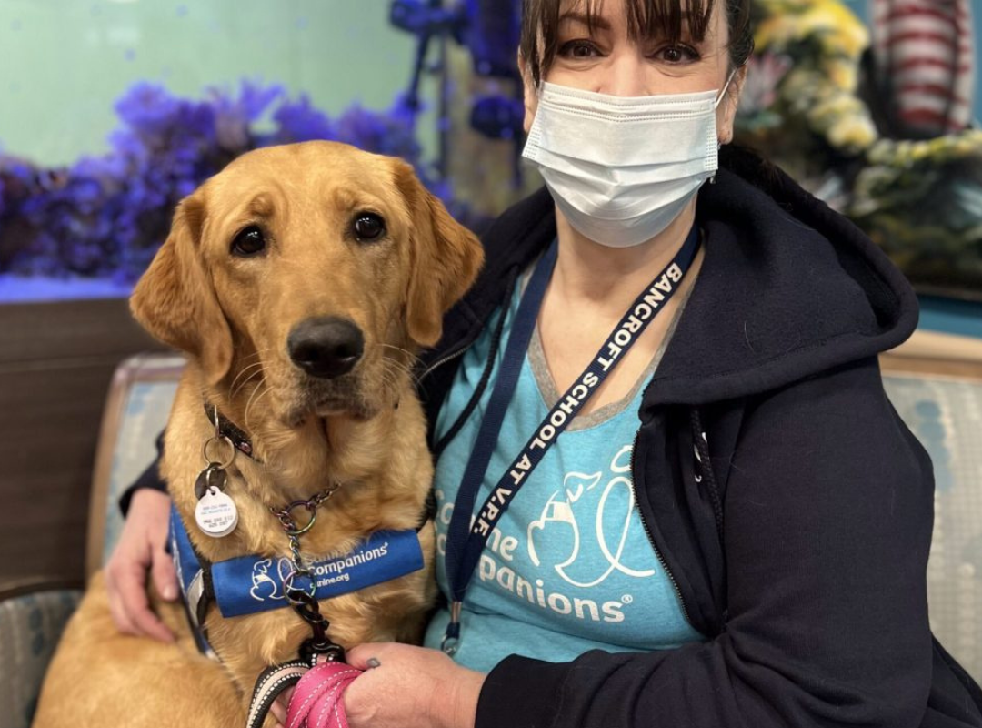 Therapy Dog Joye