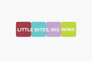 title, "Little Bites, Big Wins" with four colorful boxes behind it